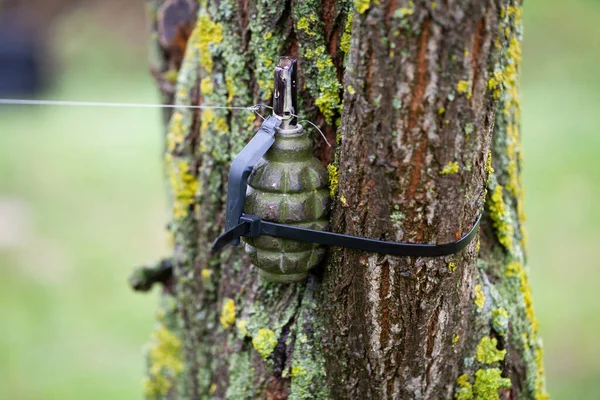 Booby Trap Ied Soviet Hand Grenade Tripwire Royalty Free Stock Photos