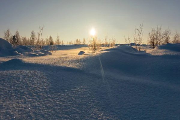 Winter Landscape Snow Covered Desert Forest Tundra Rays Setting Sun — Stock Photo, Image