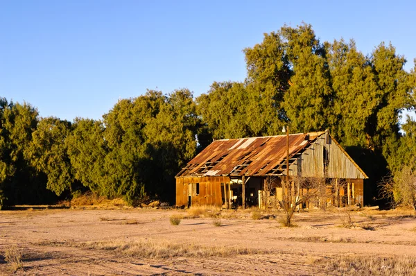 Terk edilmiş palo verde evi — Stok fotoğraf