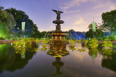 Central Park'a Çeşmesi