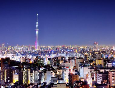 Tokyo Gökyüzü Ağacı Gecesi