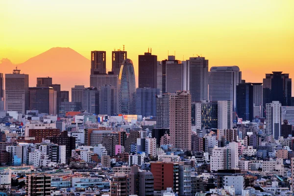 Токіо і Fuji — стокове фото