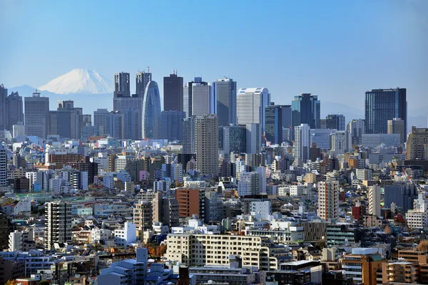 Tokyo och fuji — Stockfoto