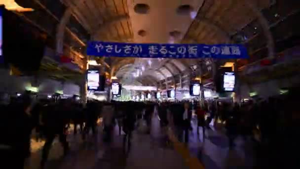 Stanice Shinagawa — Stock video