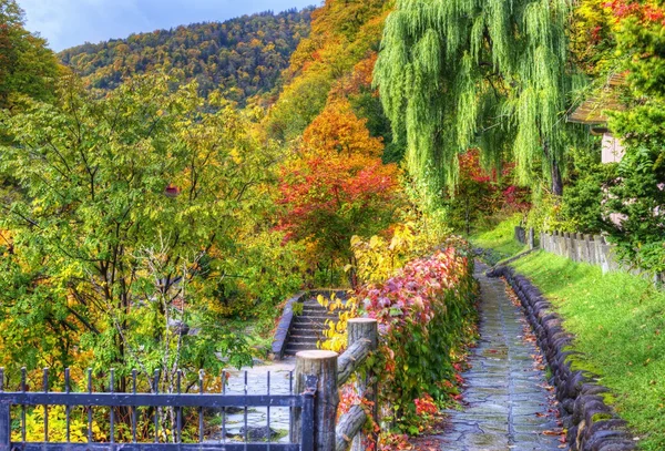 Seasonal Fall Foliage — Stock Photo, Image