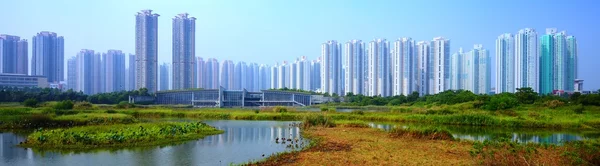 Parque das Terras Húmidas de Hong Kong — Fotografia de Stock