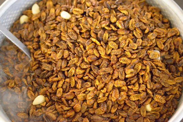 Beondegi Silk Worm Pupae