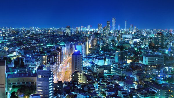 Tokyo, Japan panorama at Bunkyo Ward.