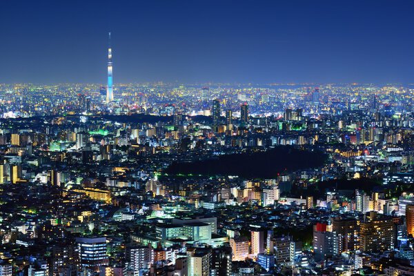 Tokyo Cityscape with Tokyo Sky Tree visible