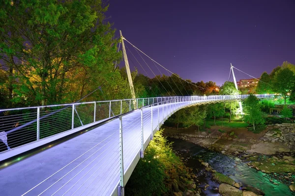 Freiheitsbrücke — Stockfoto