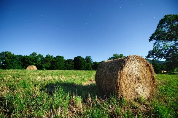 Heuballen — Stockfoto