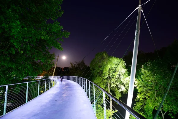 Liberty Bridge — Stock Photo, Image