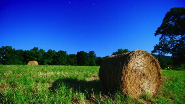 Tiempo de campo de caducidad — Vídeos de Stock