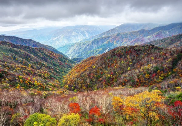 Nikko park narodowy — Zdjęcie stockowe