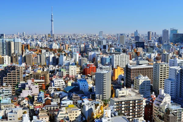 Panoramę Tokio — Zdjęcie stockowe