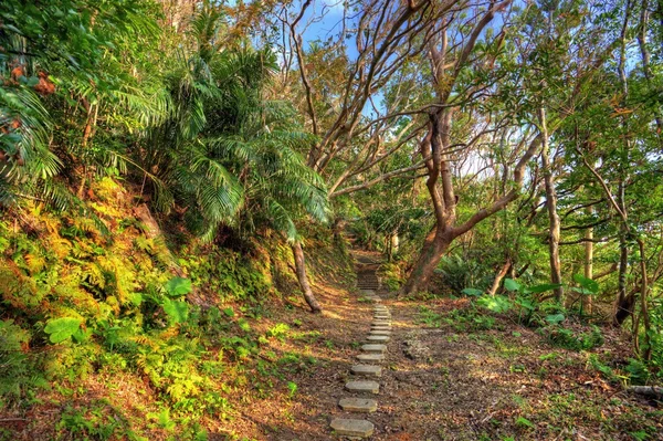 Trilha de caminhada — Fotografia de Stock