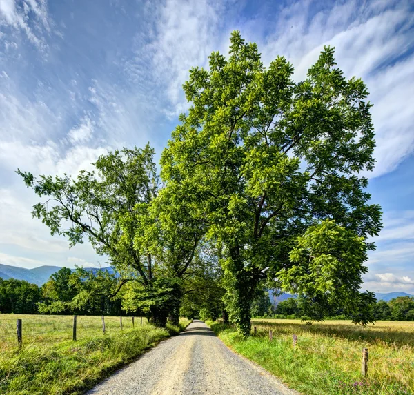 Cades cove — Stockfoto