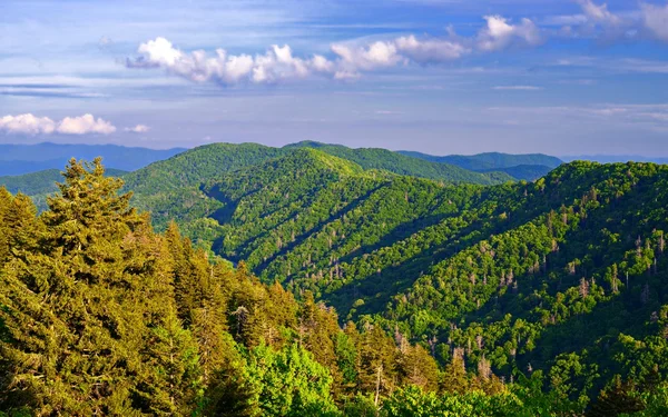 Newfound Gap — Stock Photo, Image