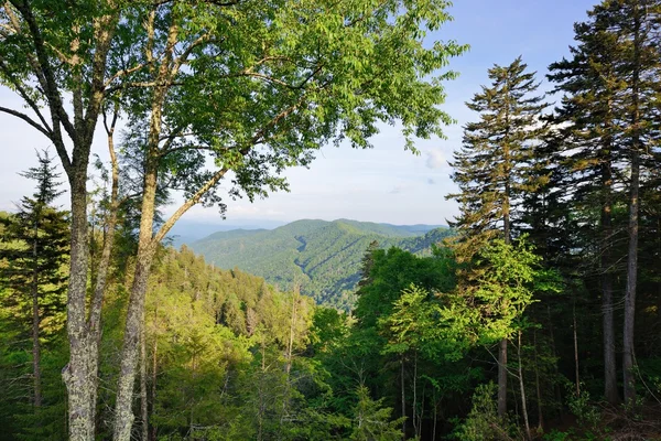 Smoky Mountains — Stock Photo, Image