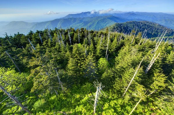 Verrauchte Berge — Stockfoto