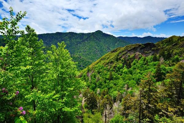 Montañas humeantes — Foto de Stock