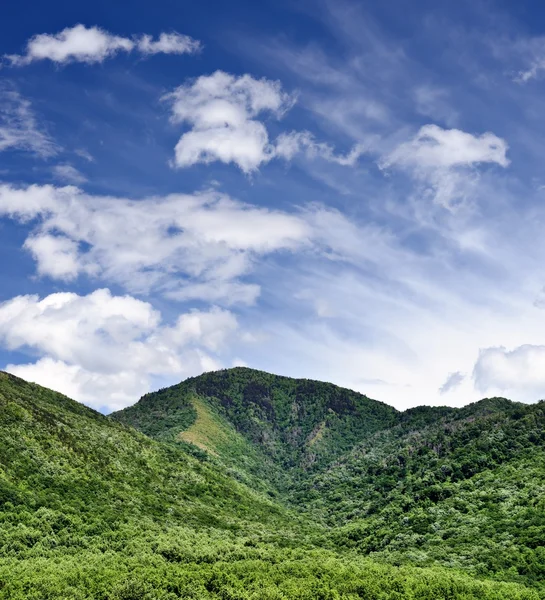 スモーキー山 — ストック写真