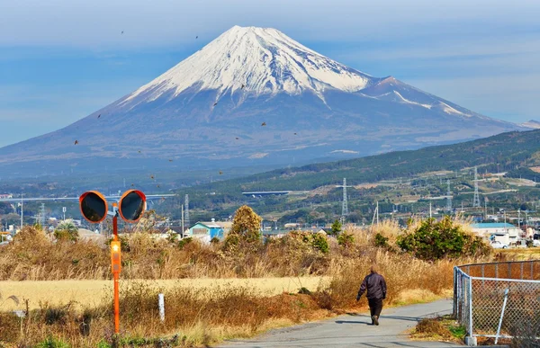 Fuji — Stock fotografie