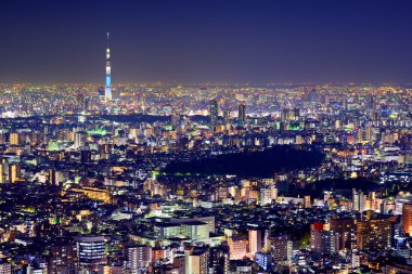 Tokyo cityscape