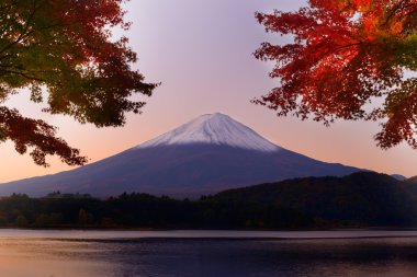 mt. fuji Güz