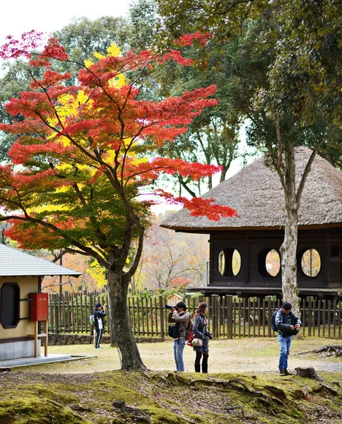 Fotografen in nara — Stockfoto