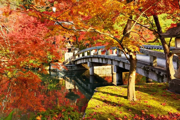 Folhagem da queda em kyoto — Fotografia de Stock