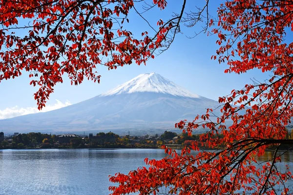 Mt. Fuji in the Autumn — Stock Photo, Image