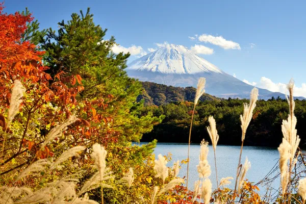 Mt. fuji jesienią — Zdjęcie stockowe