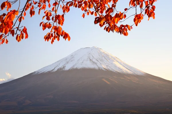 Mt. Fuji ! — Photo