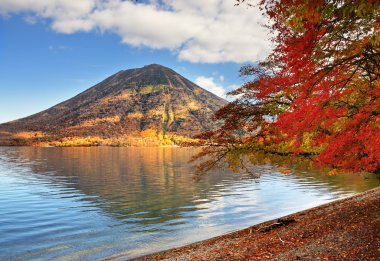 Nikko Ulusal Ormanı, Japonya