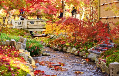 sonbaharda yapraklar Kyoto