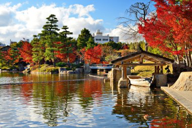 sonbaharda yapraklar Nagoya, japan