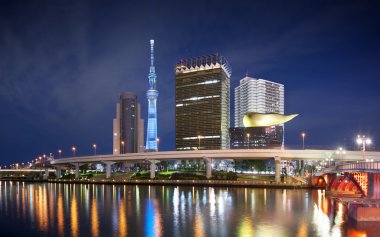 Tokyo siluetinin sumida