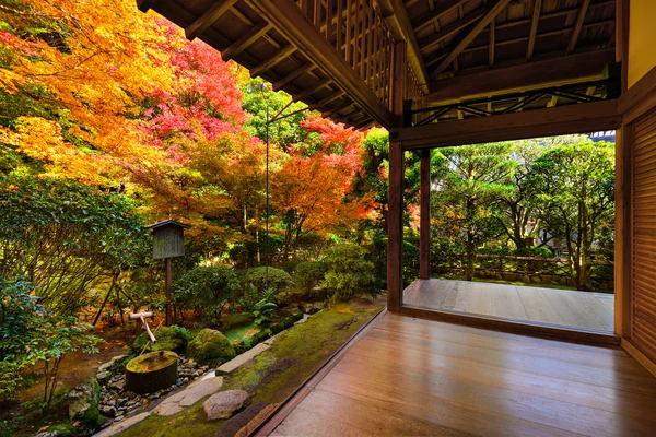 Fogliame di caduta in Tempio di Ryoan-ji in Kyoto — Foto Stock