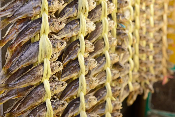 Dried Fish — Stock Photo, Image