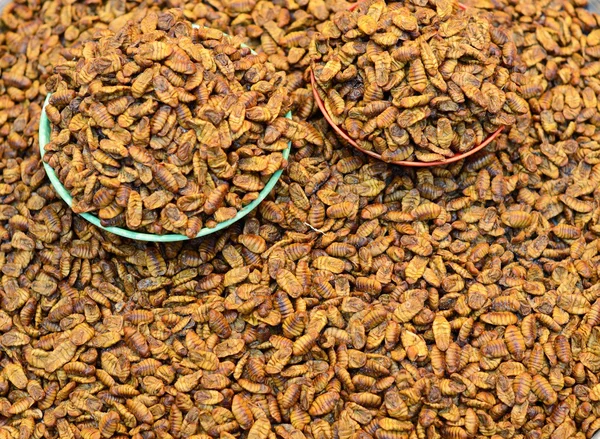 Beondegi Silkworm Snack — Stock Photo, Image