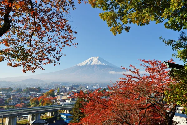 Mt. Fujiin Automne — Photo