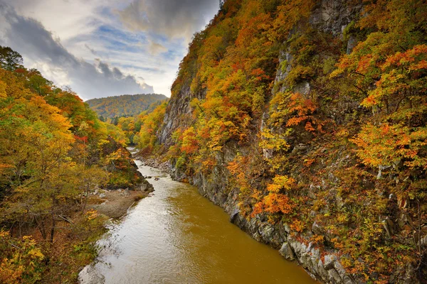 Rzeka w hokkaido — Zdjęcie stockowe