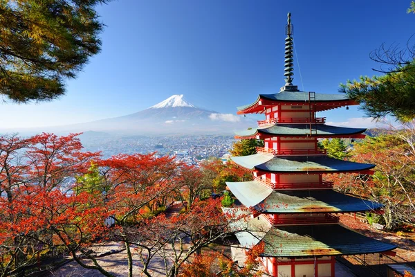 MT. fuji i höst — Stockfoto