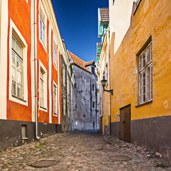 Tallinn Alleyway – stockfoto