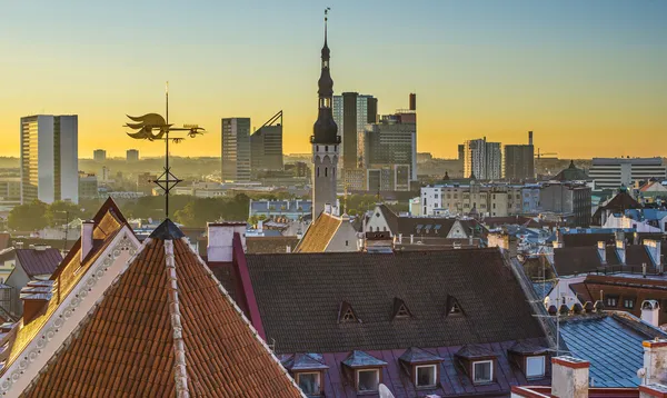 Panorama Estonsko Tallinn — Stock fotografie