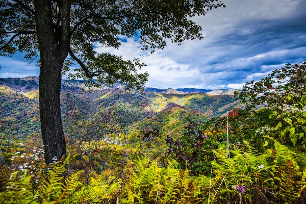 Montañas humeantes — Foto de Stock