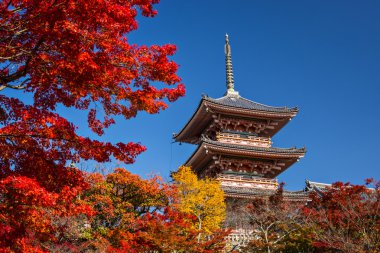 Kiyomizu Tapınağı