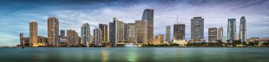 Miami Skyline clipart