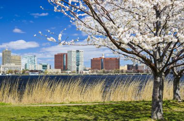Cambridge, Massachusetts